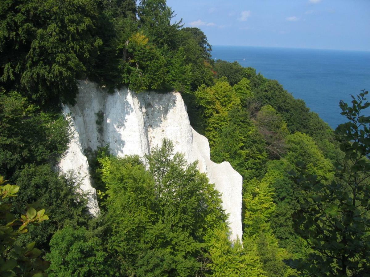 Hering Fewo I Apartment Terrace Wiek auf Rügen المظهر الخارجي الصورة